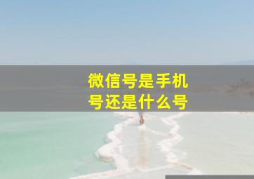 微信号是手机号还是什么号