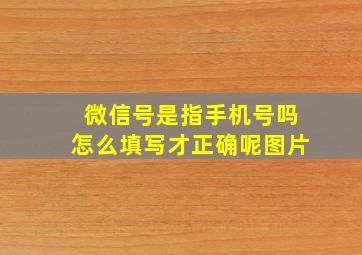 微信号是指手机号吗怎么填写才正确呢图片