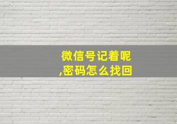 微信号记着呢,密码怎么找回