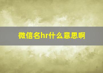 微信名hr什么意思啊