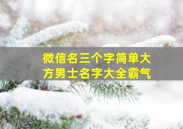 微信名三个字简单大方男士名字大全霸气