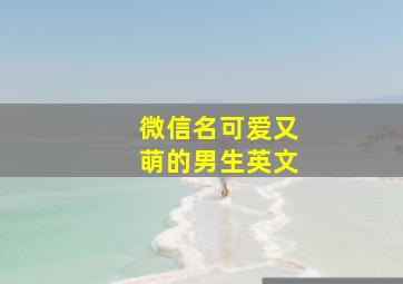 微信名可爱又萌的男生英文