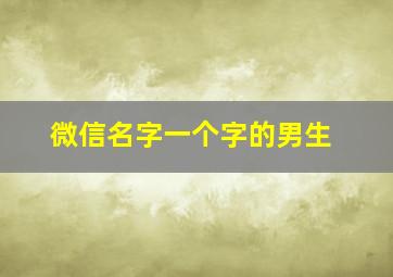 微信名字一个字的男生