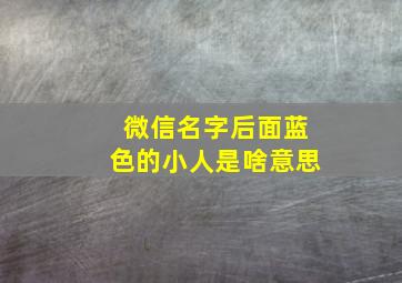 微信名字后面蓝色的小人是啥意思