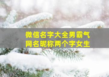 微信名字大全男霸气网名昵称两个字女生