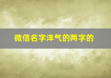 微信名字洋气的两字的