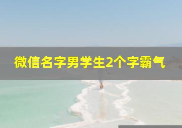 微信名字男学生2个字霸气