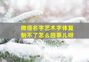 微信名字艺术字体复制不了怎么回事儿呀