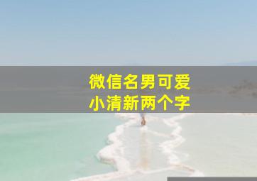 微信名男可爱小清新两个字