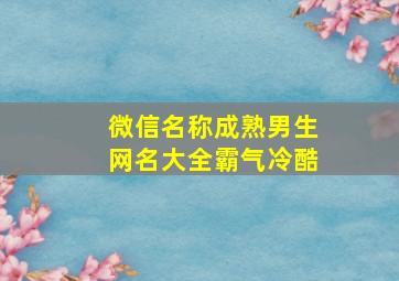 微信名称成熟男生网名大全霸气冷酷