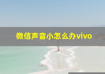 微信声音小怎么办vivo