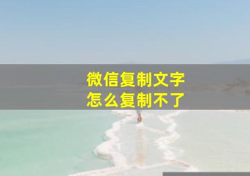 微信复制文字怎么复制不了