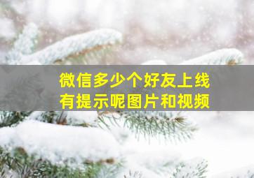 微信多少个好友上线有提示呢图片和视频