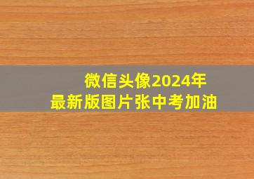 微信头像2024年最新版图片张中考加油