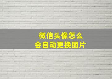 微信头像怎么会自动更换图片