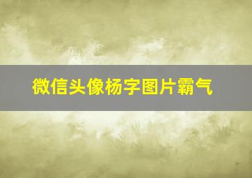 微信头像杨字图片霸气