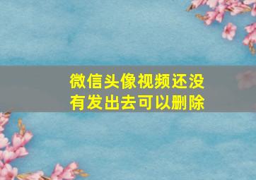 微信头像视频还没有发出去可以删除