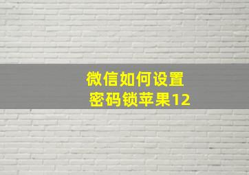 微信如何设置密码锁苹果12