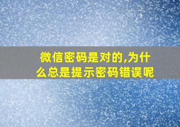 微信密码是对的,为什么总是提示密码错误呢