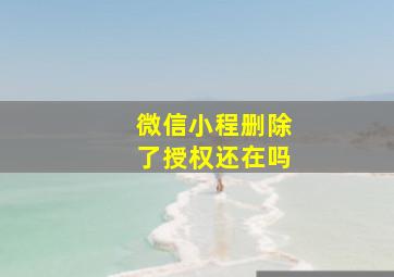 微信小程删除了授权还在吗