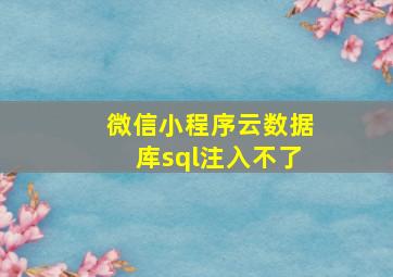 微信小程序云数据库sql注入不了