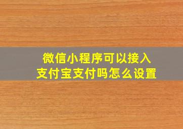 微信小程序可以接入支付宝支付吗怎么设置