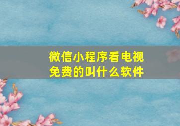 微信小程序看电视免费的叫什么软件