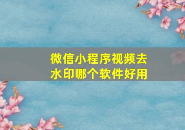 微信小程序视频去水印哪个软件好用