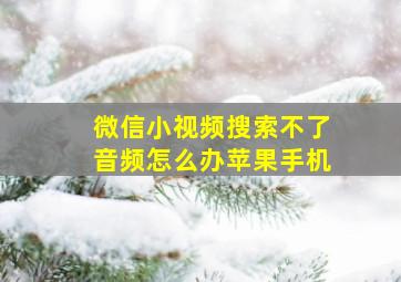 微信小视频搜索不了音频怎么办苹果手机