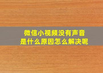 微信小视频没有声音是什么原因怎么解决呢