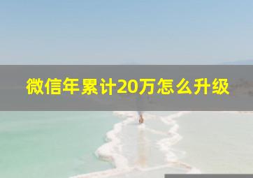 微信年累计20万怎么升级