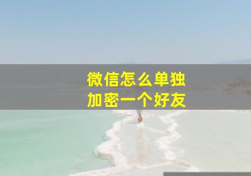 微信怎么单独加密一个好友