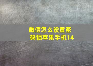 微信怎么设置密码锁苹果手机14