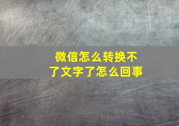 微信怎么转换不了文字了怎么回事