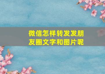 微信怎样转发发朋友圈文字和图片呢