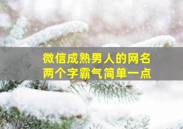 微信成熟男人的网名两个字霸气简单一点