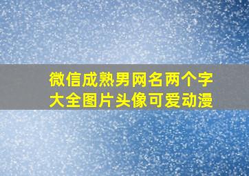 微信成熟男网名两个字大全图片头像可爱动漫