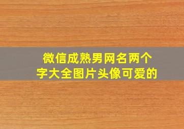 微信成熟男网名两个字大全图片头像可爱的