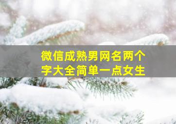 微信成熟男网名两个字大全简单一点女生