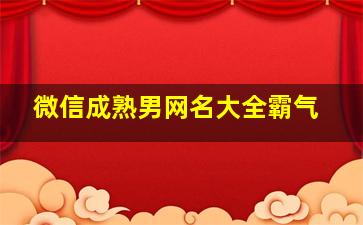 微信成熟男网名大全霸气