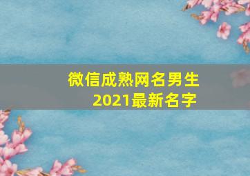 微信成熟网名男生2021最新名字