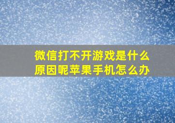 微信打不开游戏是什么原因呢苹果手机怎么办