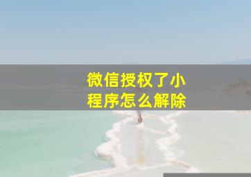 微信授权了小程序怎么解除