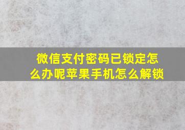 微信支付密码已锁定怎么办呢苹果手机怎么解锁