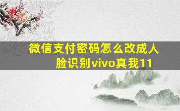 微信支付密码怎么改成人脸识别vivo真我11