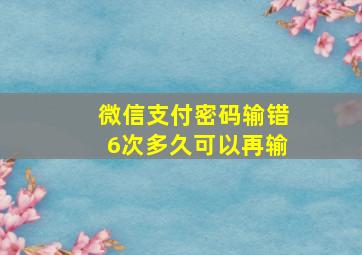 微信支付密码输错6次多久可以再输