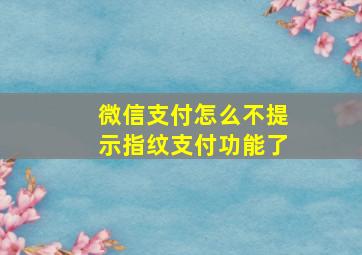 微信支付怎么不提示指纹支付功能了