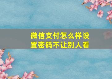 微信支付怎么样设置密码不让别人看