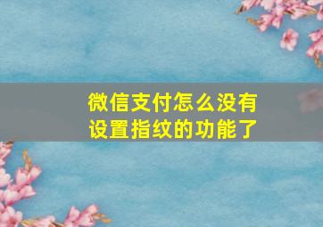 微信支付怎么没有设置指纹的功能了