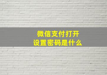 微信支付打开设置密码是什么